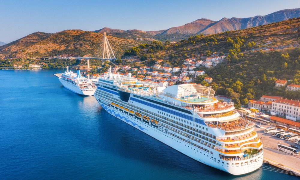 cruise image